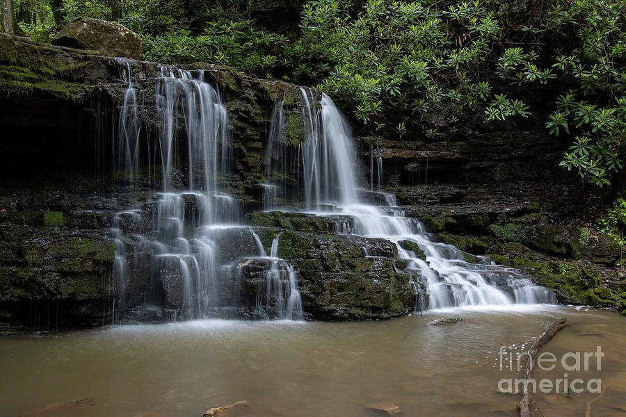 Laurel run Photograph by Daniel Wagner Fine Art America