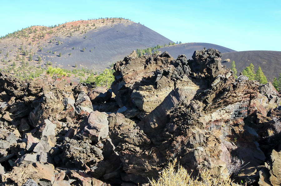 Lava Field at Sunset Crater Photograph by Dawn Richards