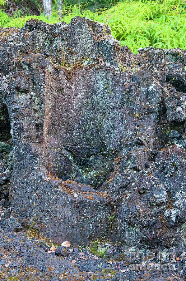 Lava Tree Stump Photograph by Bob Phillips