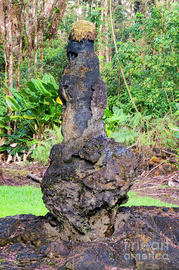 Lava Tree Trunk One Photograph by Bob Phillips