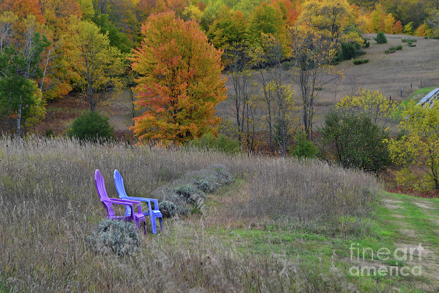 Laveder Chairs in Fall Field Photograph by Amy Lucid