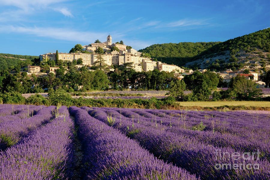Lavender and Banon - Provence France Photograph by Brian Jannsen