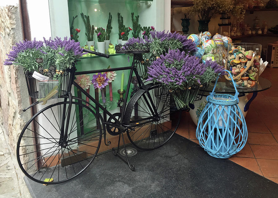 Lavender and Bicycle Photograph by Naomi Wittlin