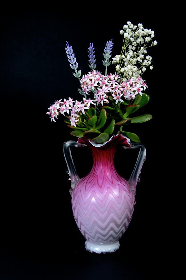 Lavender and Jade Plant in a vase isolated on black coloured bac Photograph by Geoff Childs