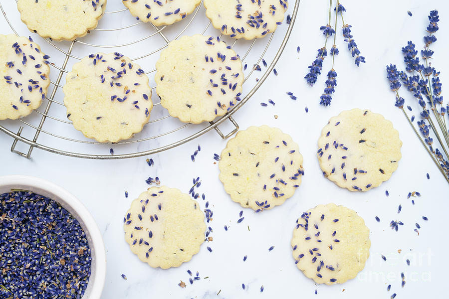 Lavender and Lemon Shortbread Biscuits Photograph by Tim Gainey