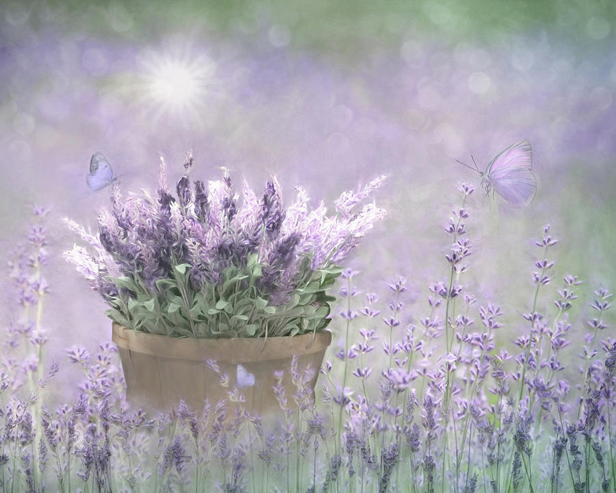 Flower Mixed Media - Lavender Basket by Lori Deiter