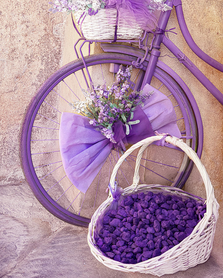 Lavender Bicycle Photograph by Don Schwartz