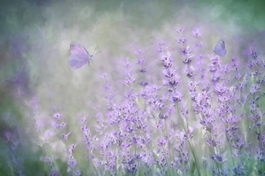 Flower Mixed Media - Lavender Bliss by Lori Deiter