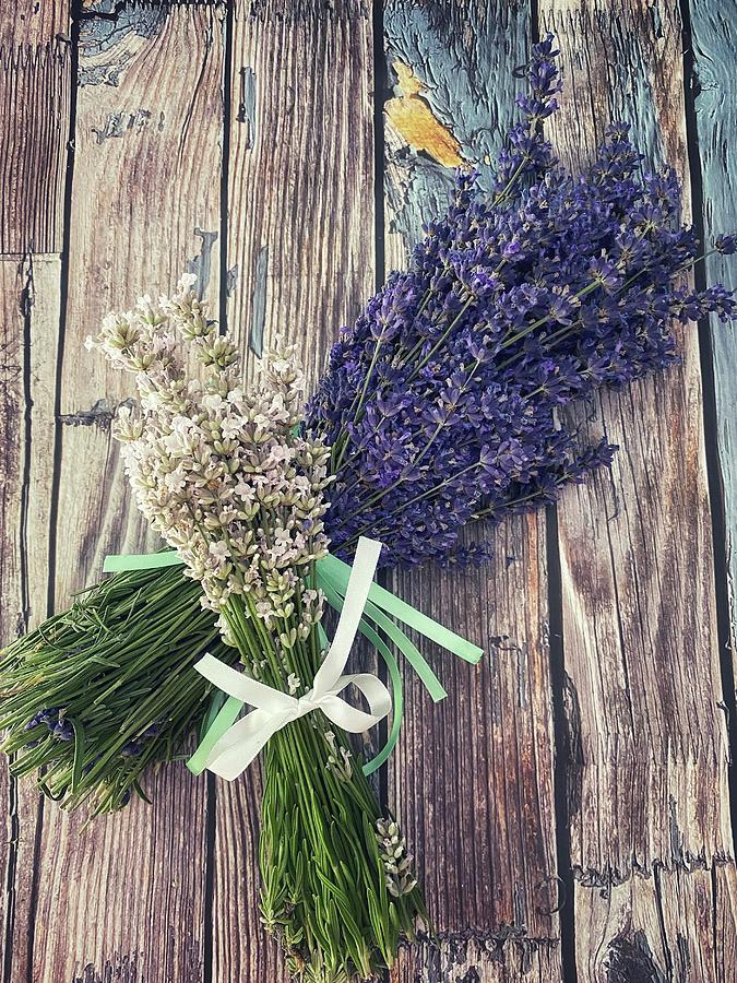 Lavender Bouquets Photograph by Steph Gabler