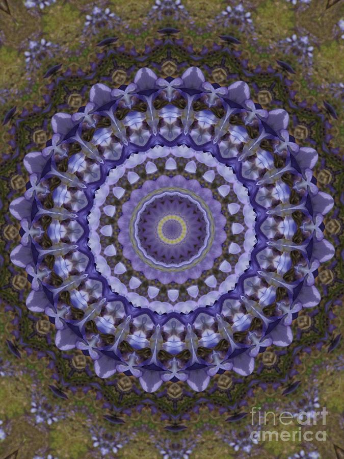 Lavender Design I Mixed Media