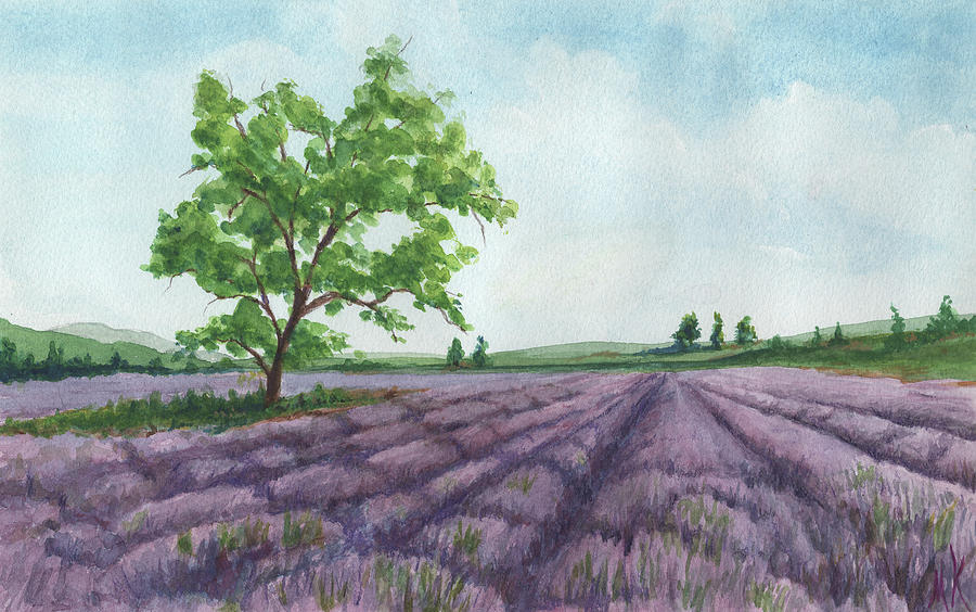 Lavender Field Painting Painting by Melodie Kantner