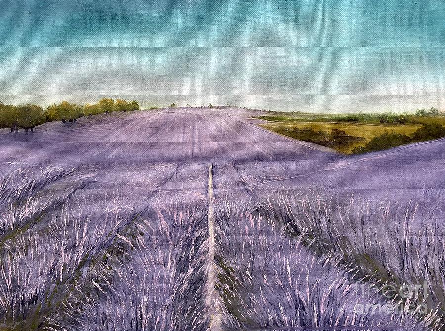 Lavender field  Painting by Sharron Knight