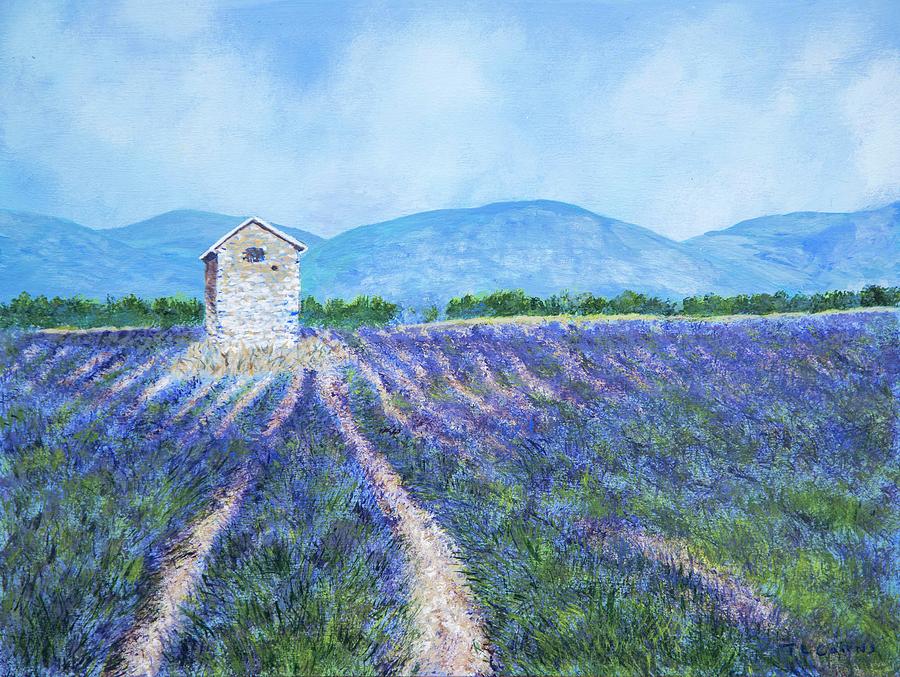 Lavender Field Painting