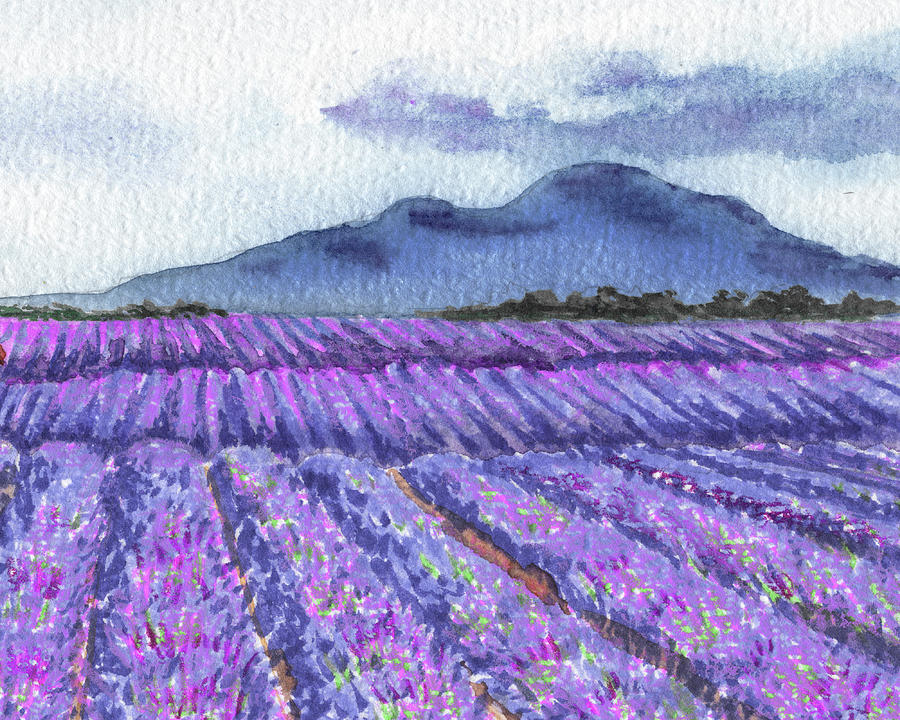 Lavender Field Watercolor Landscape Provence Charm  Painting by Irina Sztukowski