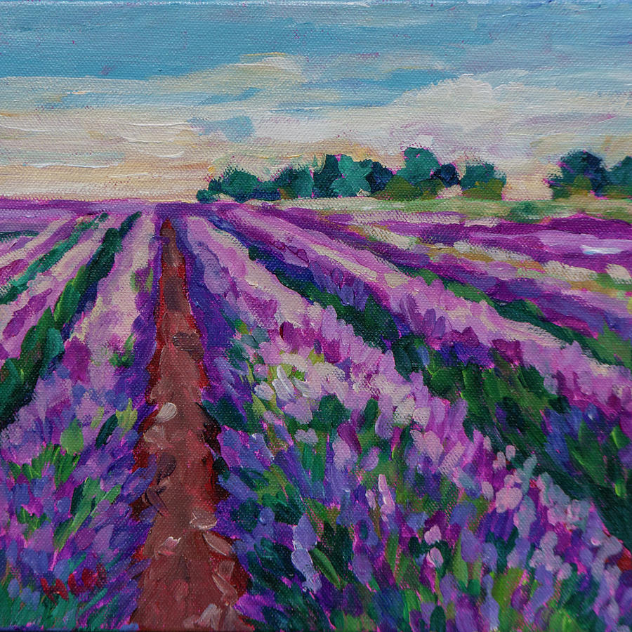 Lavender Fields 1 Painting by Heather Nagy
