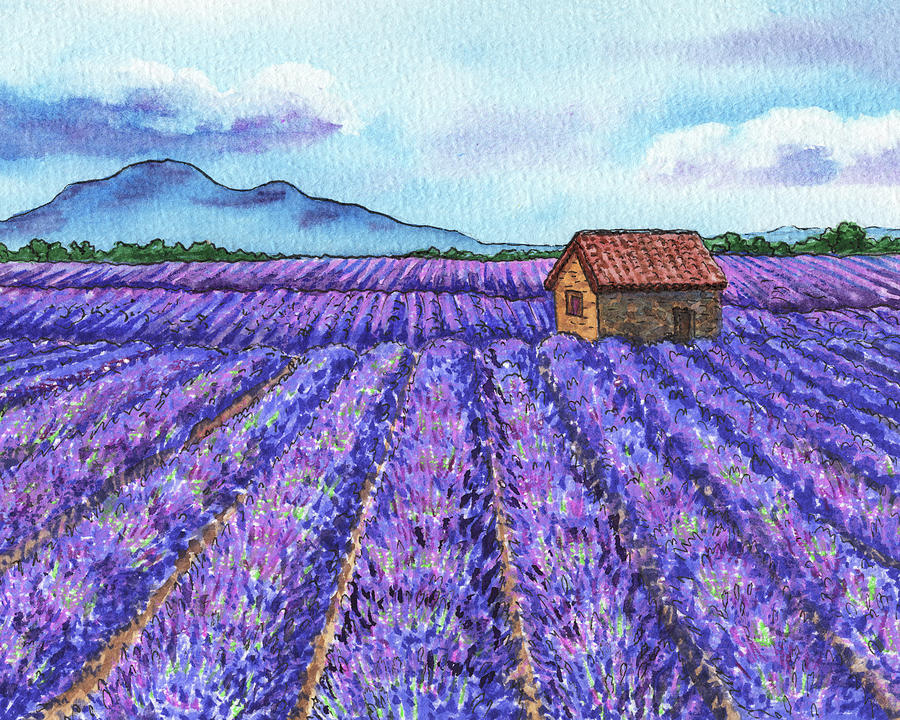 Lavender Fields Of French Province Herb De Provence Watercolor Painting