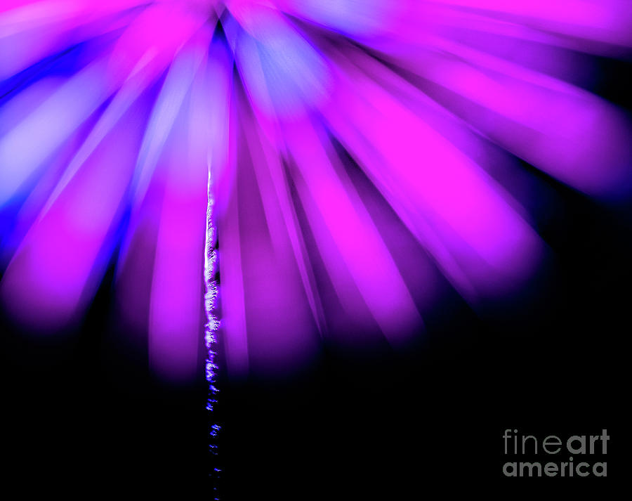 Lavender Fireworks Photograph by Doug Sturgess