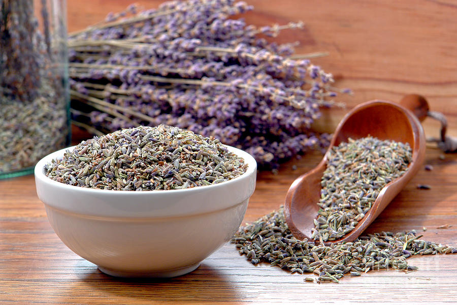 Lavender Flower Dry Seeds in an Aromatherapy Shop Photograph by Olivier Le Queinec