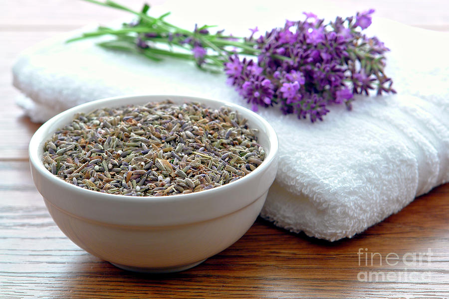 Flower Photograph - Lavender Flower Seeds and Fresh Flowers in a Spa by Olivier Le Queinec