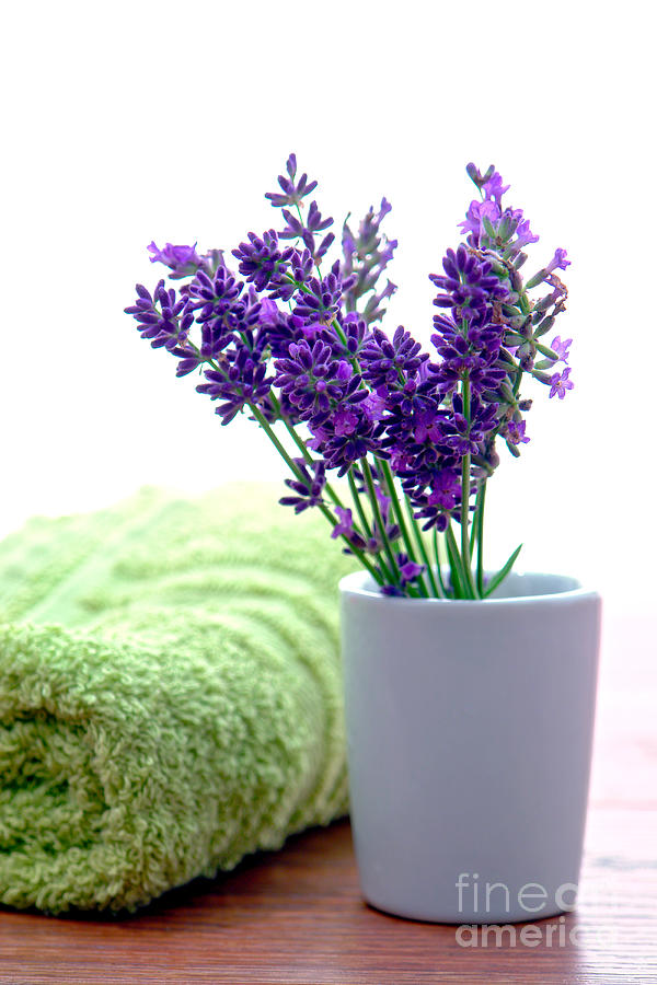 Lavender Flowers and Bath Towel in a Spa Photograph by Olivier Le Queinec