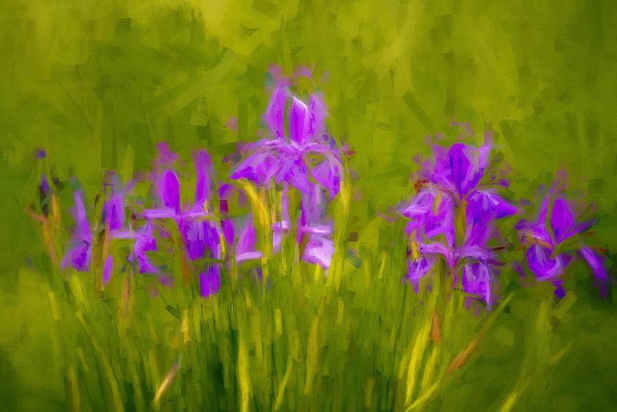 Lavender Iris Bliss  Mixed Media by Susan Rydberg