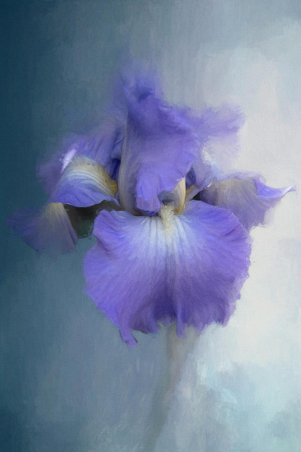Lavender Iris Painting Digital Art by Terry Davis - Fine Art America