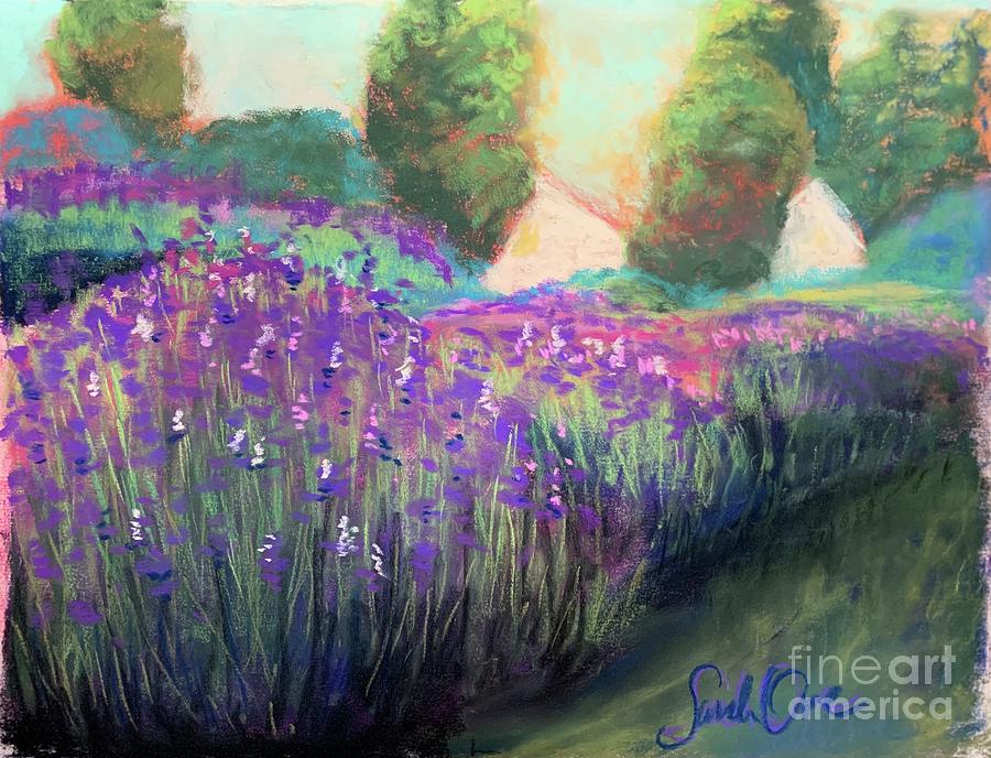 Tree Pastel - Lavender Lane by Sarah Orre