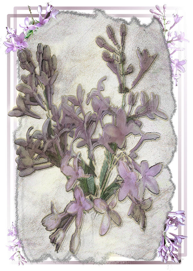 Lavender Lilac Fossil Floral Design Digital Art by Delynn Addams