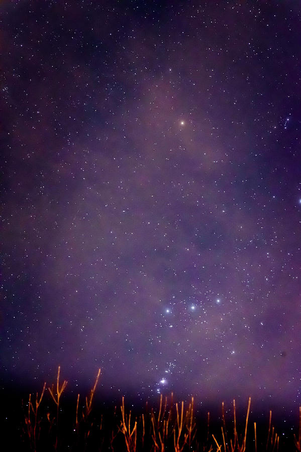 Lavender Night Sky in Prior Lake with Abstract Horse Photograph by