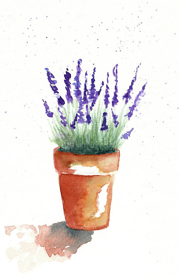 Lavender Plant In Terra Cotta Pot Painting by Deborah League