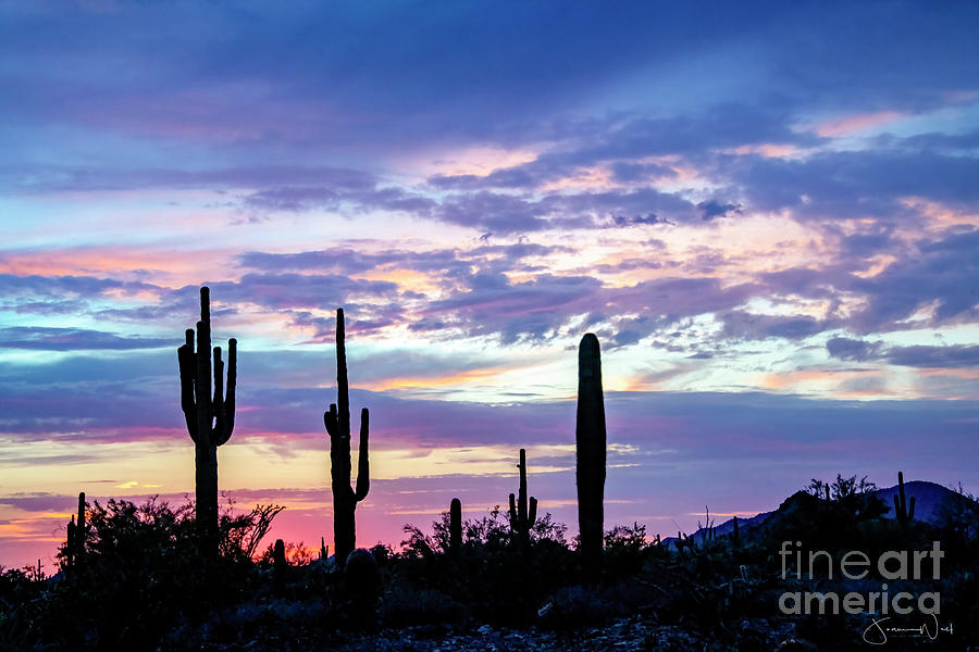 Lavender Sunset, Mesa AZ Photograph by Joanne West