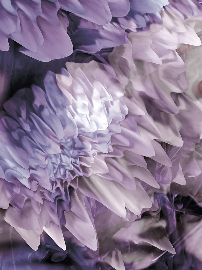 Lavender Wishes Digital Art by Bonnie Bruno