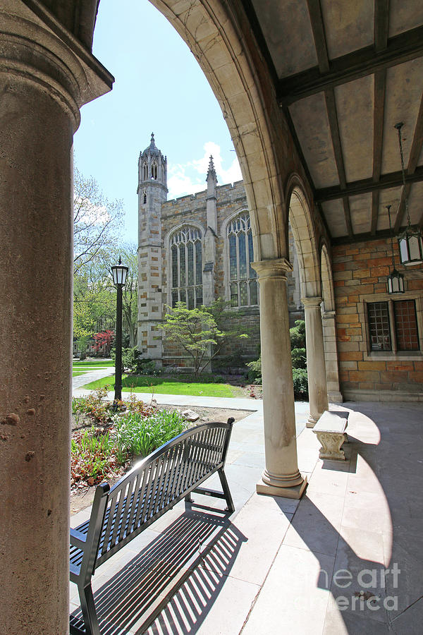 Law Quad Arches of Cloister  University of Michigan  6151 Photograph by Jack Schultz