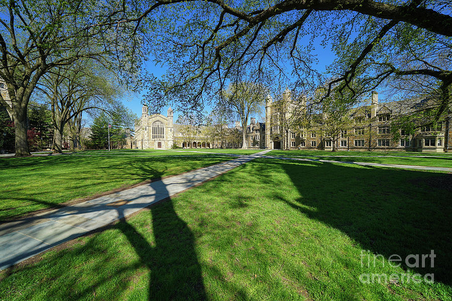 Law Quad Shadow Chasing Photograph by Rachel Cohen