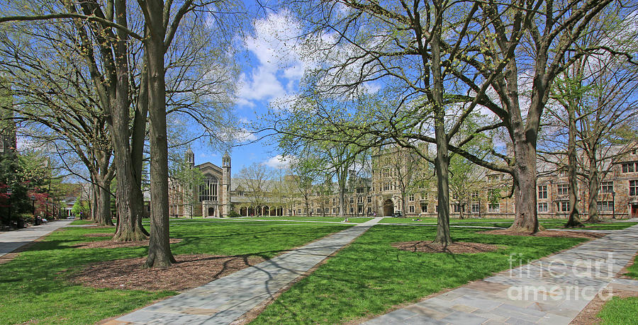 Law Quadrangle University of Michigan 6192 Photograph by Jack Schultz