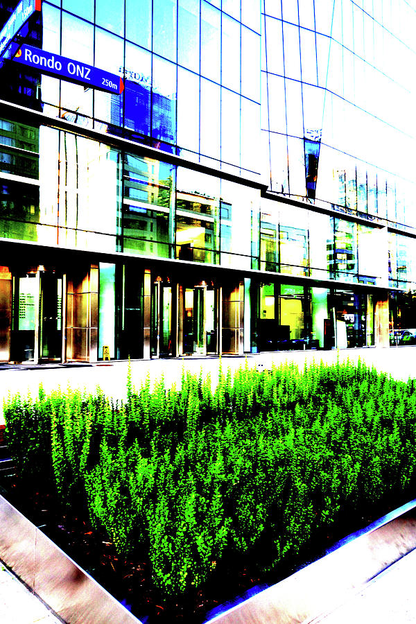 Lawn At Office Building In Warsaw, Poland Photograph by John Siest