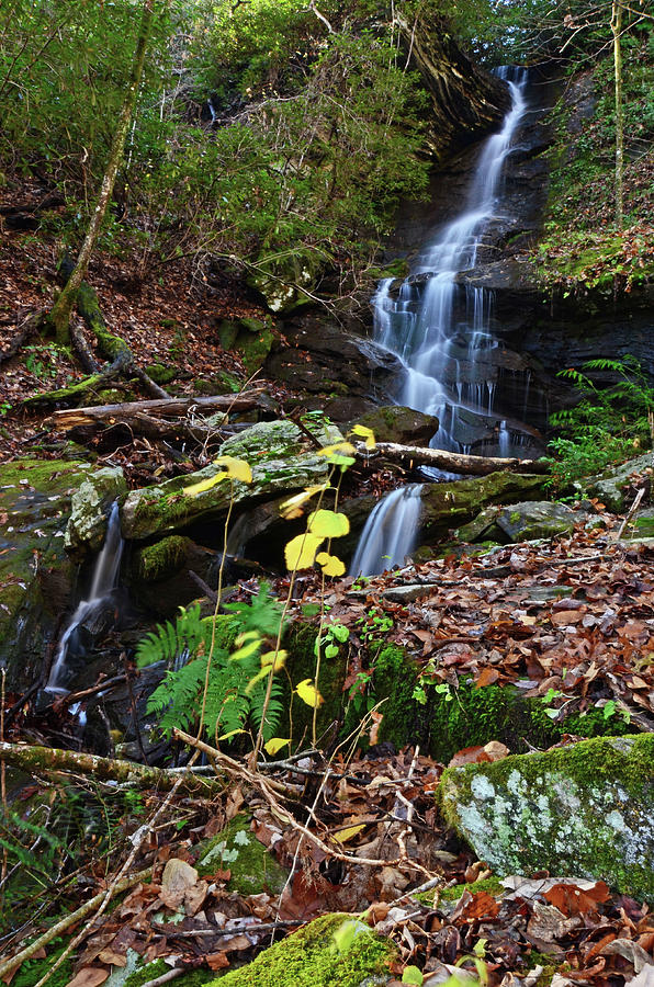 Layered Cliff Falls Photograph by Karen Frizzell