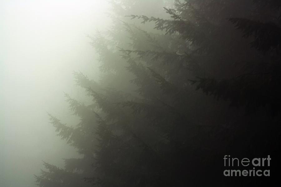 Layered Fog Photograph by Kimberly Furey