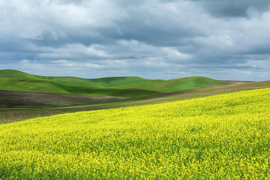 Layers in the Palouse Photograph by Lindley Johnson | Pixels