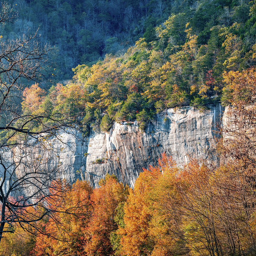 Layers Of Autumn On Roark Bluff - Northwest Arkansas Photograph by Gregory Ballos