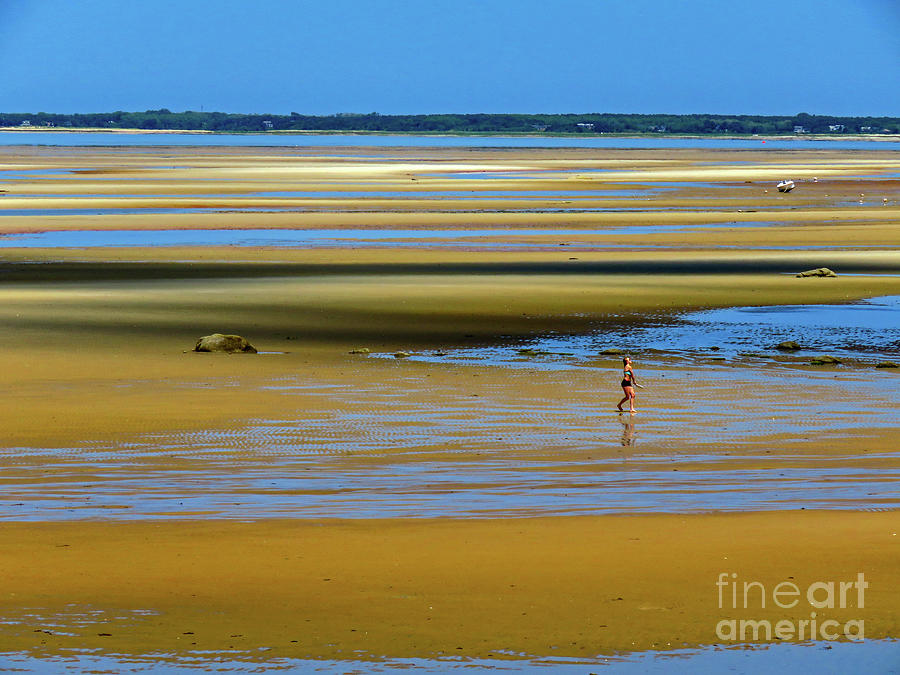 Layers Of Cape Cod Bay Breakwater Beach Photograph By Dianne Cowen Cape Cod And Ocean 