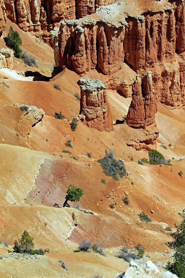 Layers Of Land - Bryce Canyon Photograph by Jennifer Robin