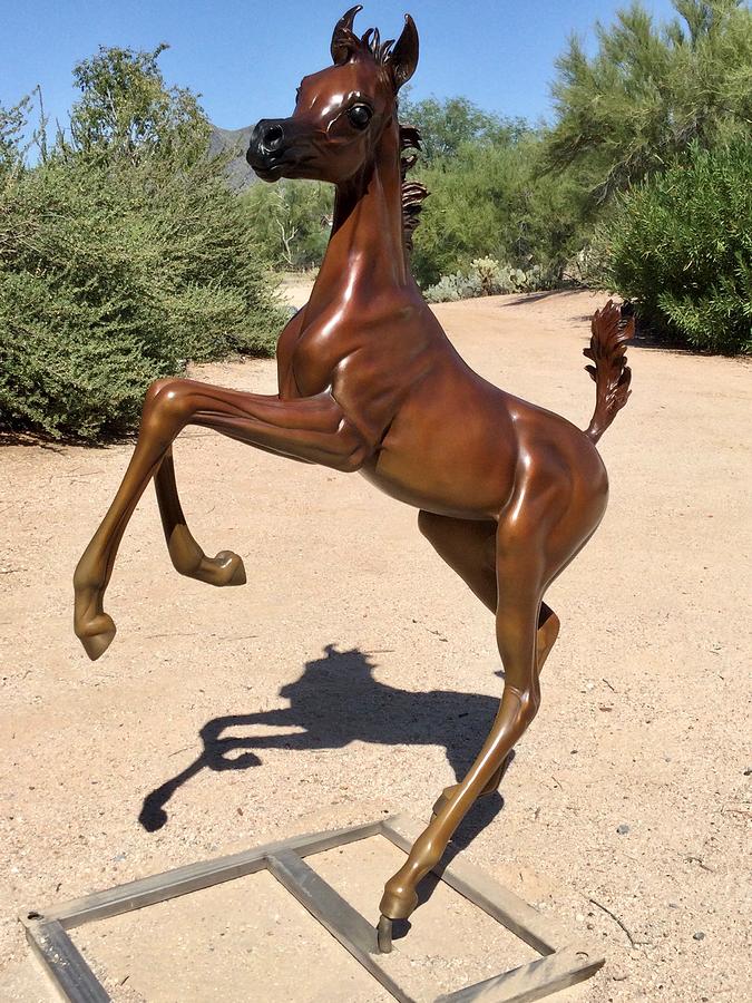 Layla Bronze Arabian Filly Foal Sculpture Rearing Sculpture by J Anne Butler