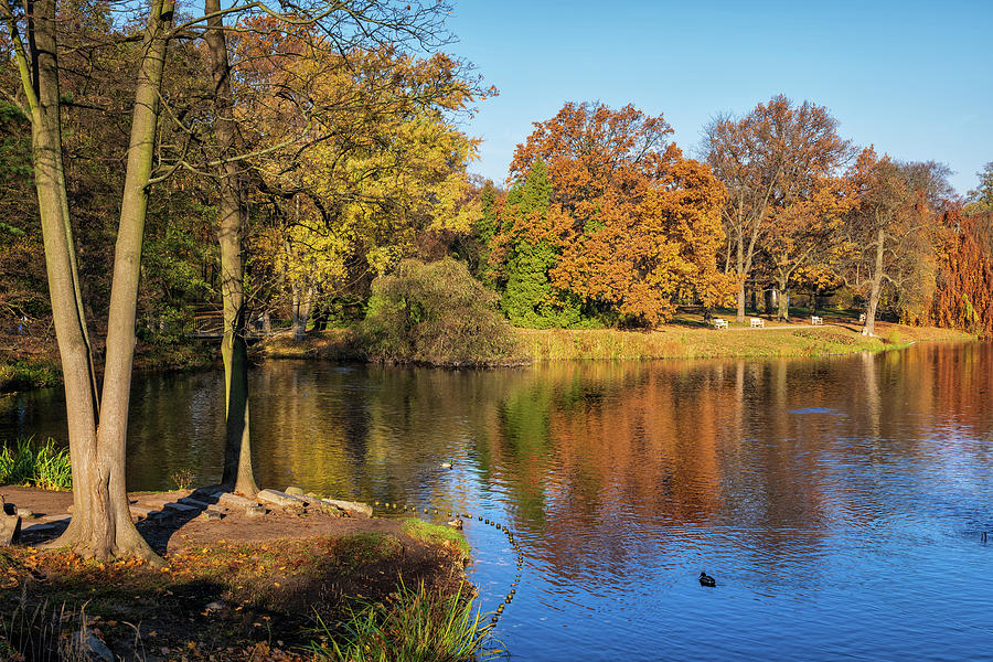 Lazienki Park Autumn Landscape In Warsaw Photograph by Artur Bogacki