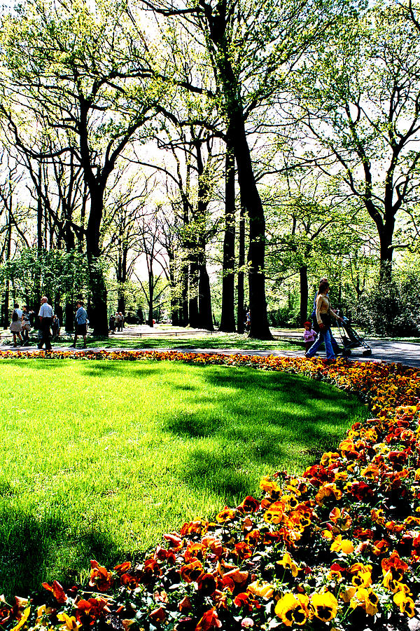 Lazienki Park In Warsaw, Poland 18 Photograph by John Siest