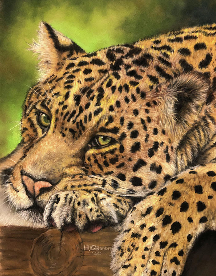 Lazy afternoon Pastel by Holly Cannon - Fine Art America