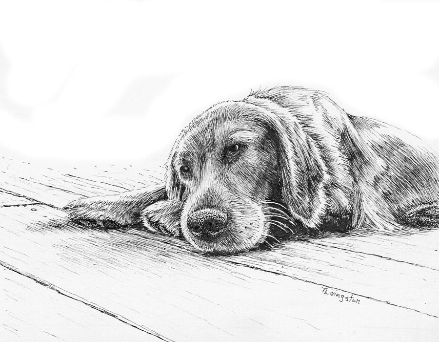 Lazy Afternoon Drawing by Timothy Livingston