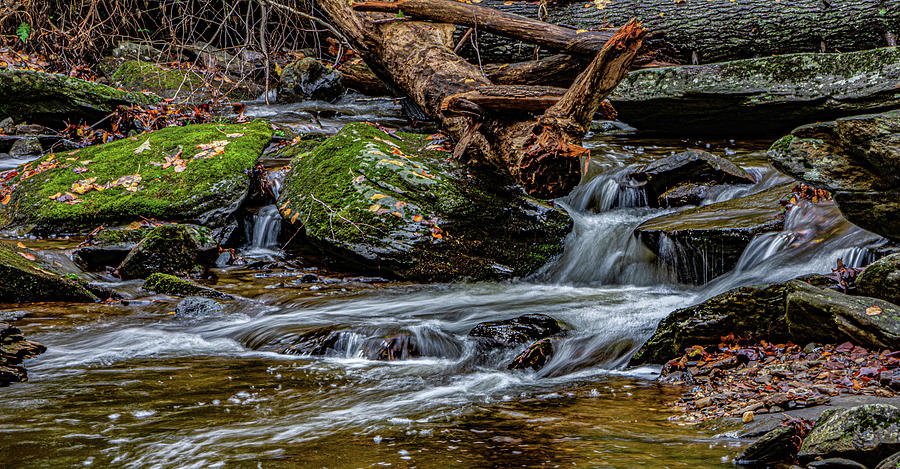 Lazy Babbling Creek Photograph by Brian Shoemaker