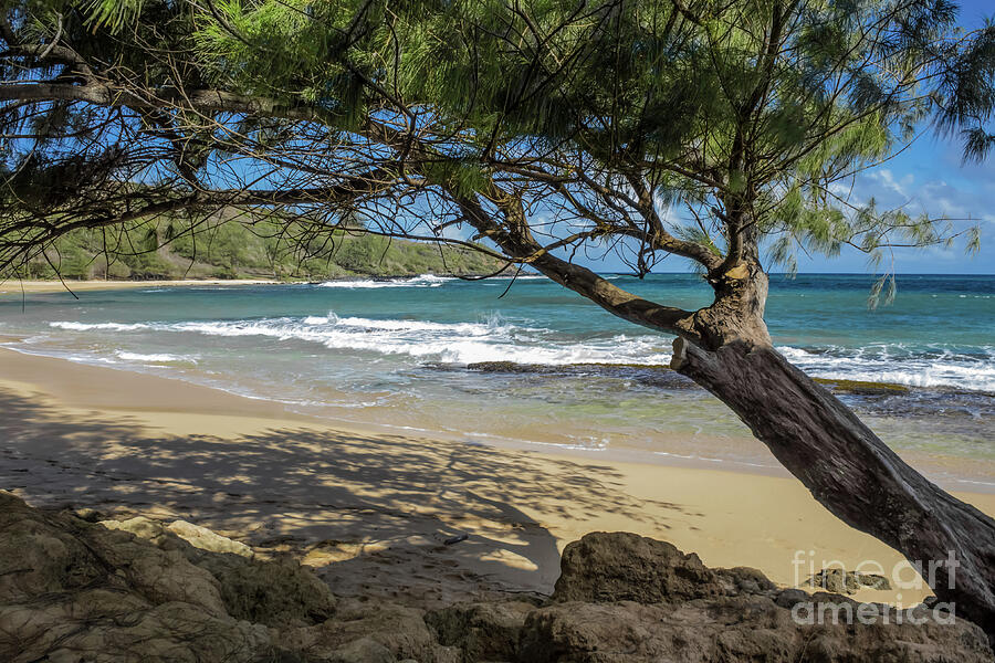 Nature Photograph - Lazy Day At The Beach by Suzanne Luft