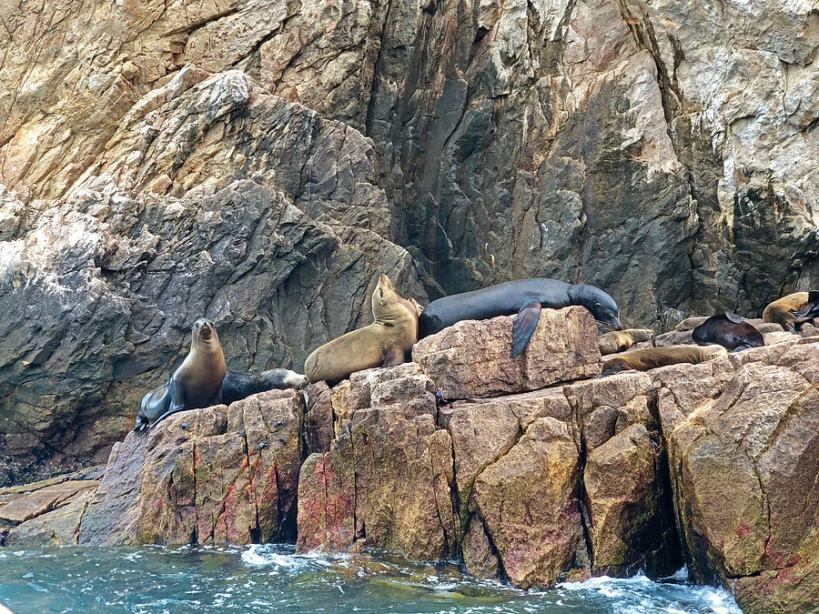 Lazy Days on Cabo Photograph by Lisa Soots